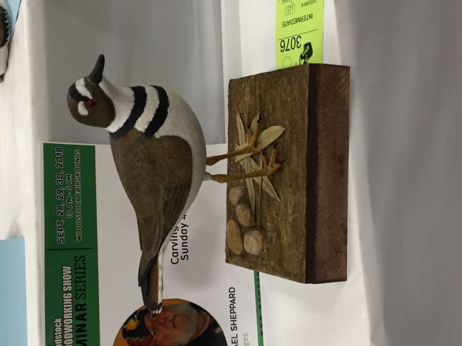 Woodstock Ontario Wood Show 2018 Photos