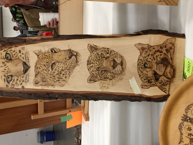 Woodstock Ontario Wood Show 2018 Photos